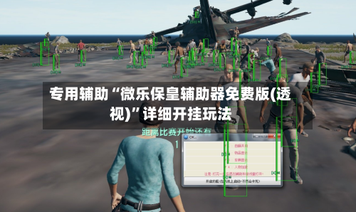专用辅助“微乐保皇辅助器免费版(透视)	”详细开挂玩法-第1张图片