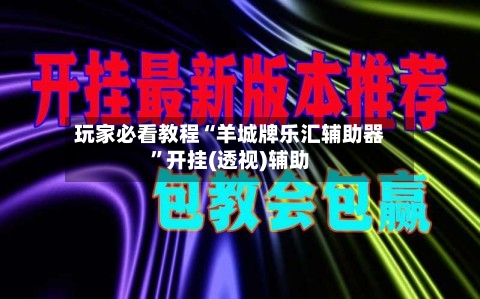 玩家必看教程“羊城牌乐汇辅助器”开挂(透视)辅助-第1张图片