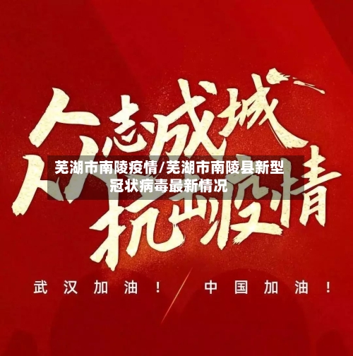 芜湖市南陵疫情/芜湖市南陵县新型冠状病毒最新情况-第1张图片