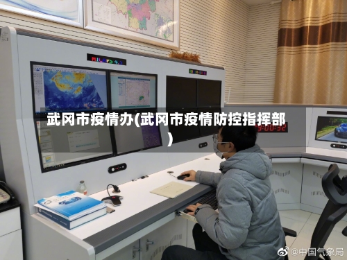 武冈市疫情办(武冈市疫情防控指挥部)-第1张图片