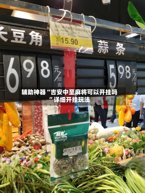 辅助神器“吉安中至麻将可以开挂吗”详细开挂玩法-第2张图片