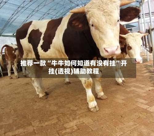 推荐一款“牛牛如何知道有没有挂”开挂(透视)辅助教程-第1张图片