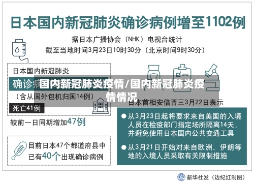 国内新冠肺炎疫情/国内新冠肺炎疫情情况-第3张图片