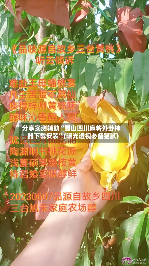 分享实测辅助“蜀山四川麻将外卦神器下载安装”(曝光透视必备猫腻)-第1张图片