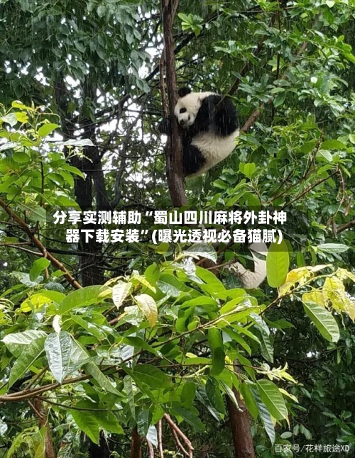 分享实测辅助“蜀山四川麻将外卦神器下载安装”(曝光透视必备猫腻)-第2张图片