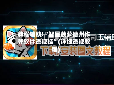 教程辅助!“智星菠萝德州作弊软件透视挂”(详细透视教程)-第1张图片
