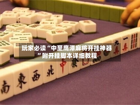 玩家必读“中至鹰潭麻将开挂神器”附开挂脚本详细教程-第1张图片