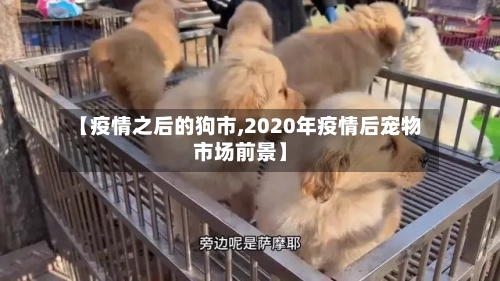 【疫情之后的狗市,2020年疫情后宠物市场前景】-第3张图片