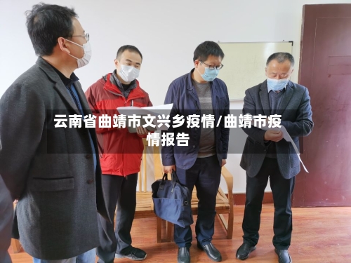 云南省曲靖市文兴乡疫情/曲靖市疫情报告-第3张图片