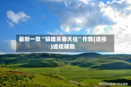 最新一款“镇雄关春天挂”作弊(透视)透视辅助-第3张图片