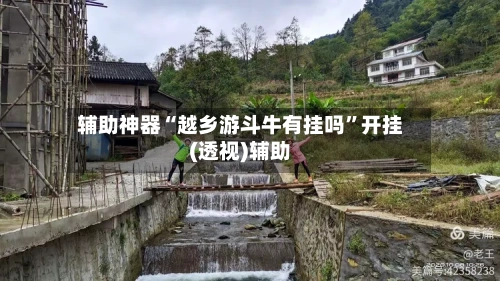 辅助神器“越乡游斗牛有挂吗”开挂(透视)辅助-第3张图片
