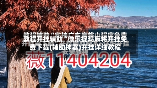 教程开挂辅助“微乐捉鸡麻将开挂免费下载(辅助神器)开挂详细教程-第2张图片
