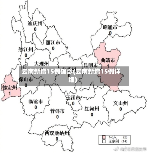 云南新增15例确诊(云南新增15例详细)-第2张图片