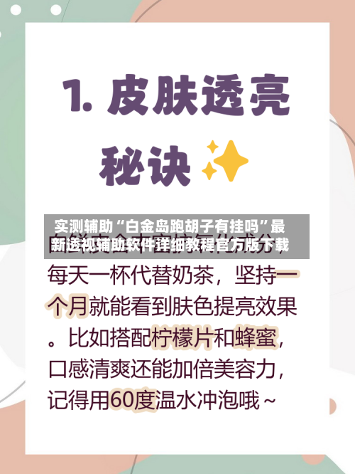实测辅助“白金岛跑胡子有挂吗”最新透视辅助软件详细教程官方版下载-第2张图片
