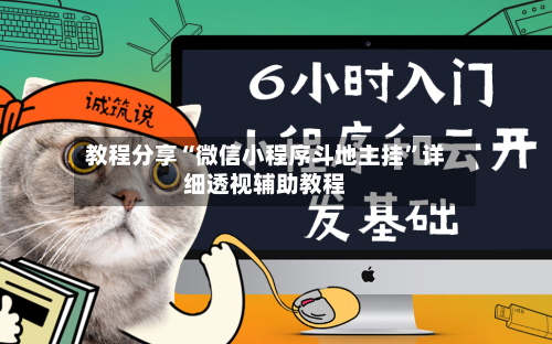 教程分享“微信小程序斗地主挂	”详细透视辅助教程-第2张图片