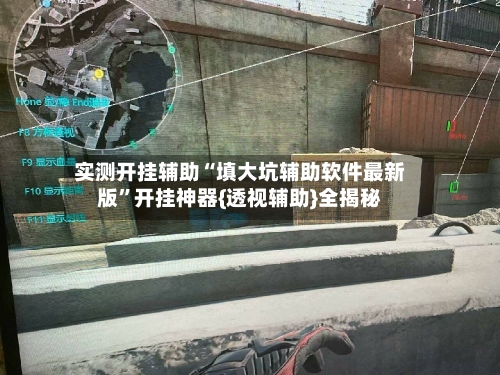 实测开挂辅助“填大坑辅助软件最新版”开挂神器{透视辅助}全揭秘-第1张图片