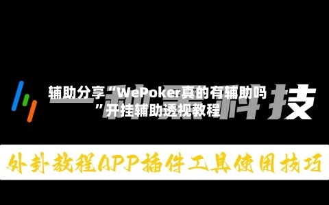 辅助分享“WePoker真的有辅助吗”开挂辅助透视教程-第2张图片