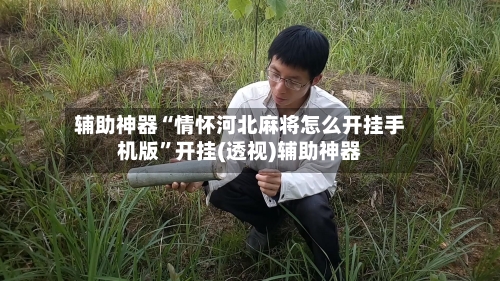 辅助神器“情怀河北麻将怎么开挂手机版”开挂(透视)辅助神器-第1张图片