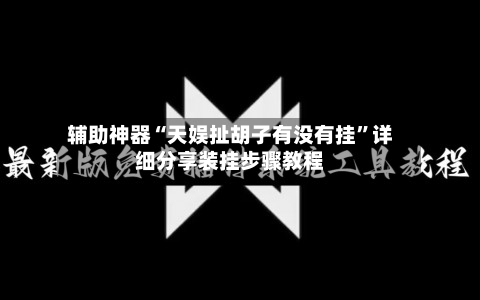辅助神器“天娱扯胡子有没有挂”详细分享装挂步骤教程-第3张图片
