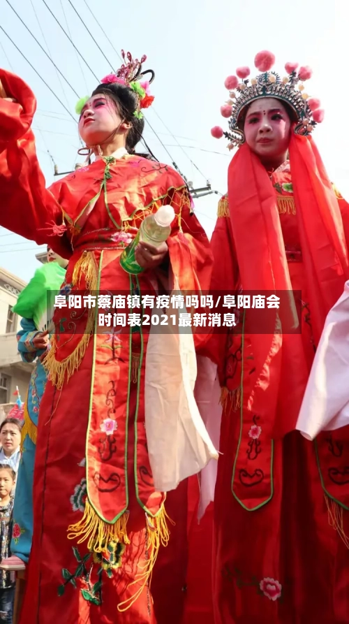阜阳市蔡庙镇有疫情吗吗/阜阳庙会时间表2021最新消息-第2张图片