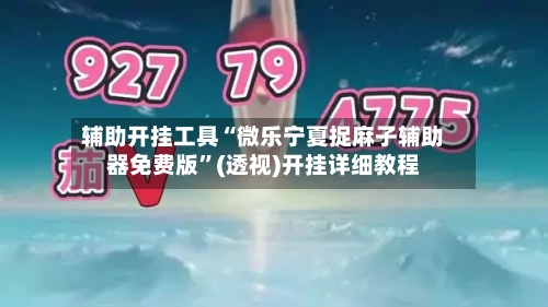 辅助开挂工具“微乐宁夏捉麻子辅助器免费版”(透视)开挂详细教程-第1张图片