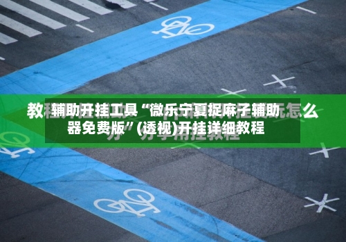 辅助开挂工具“微乐宁夏捉麻子辅助器免费版	”(透视)开挂详细教程-第3张图片