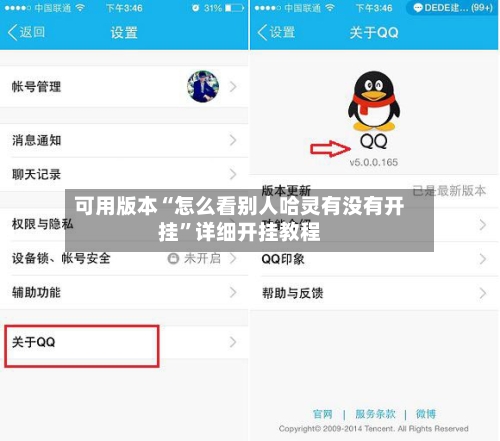 可用版本“怎么看别人哈灵有没有开挂	”详细开挂教程-第1张图片