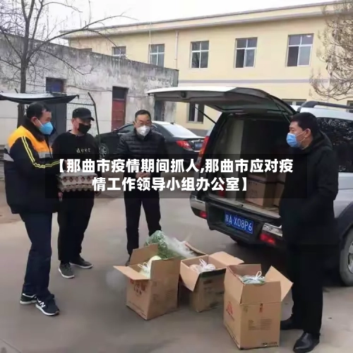 【那曲市疫情期间抓人,那曲市应对疫情工作领导小组办公室】-第2张图片