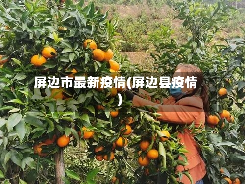 屏边市最新疫情(屏边县疫情)-第2张图片