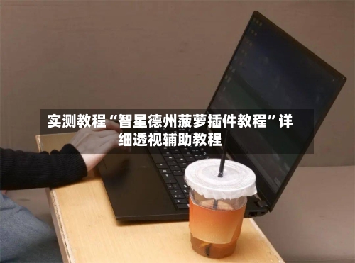 实测教程“智星德州菠萝插件教程”详细透视辅助教程-第1张图片