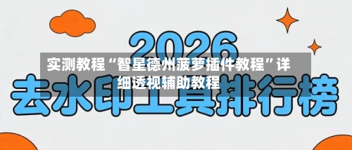 实测教程“智星德州菠萝插件教程”详细透视辅助教程-第2张图片