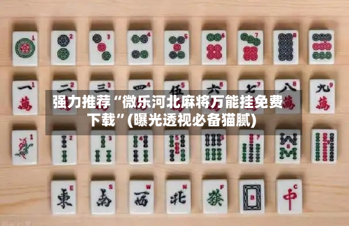 强力推荐“微乐河北麻将万能挂免费下载	”(曝光透视必备猫腻)-第1张图片