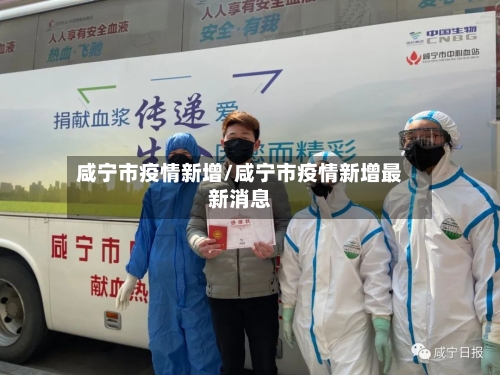 咸宁市疫情新增/咸宁市疫情新增最新消息-第1张图片