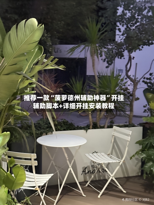 推荐一款“菠萝德州辅助神器”开挂辅助脚本+详细开挂安装教程-第3张图片