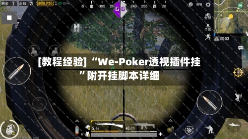 [教程经验] “We-Poker透视插件挂	”附开挂脚本详细-第1张图片