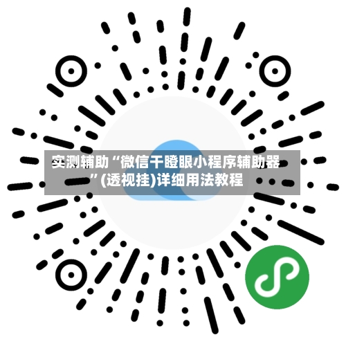 实测辅助“微信干瞪眼小程序辅助器”(透视挂)详细用法教程-第1张图片