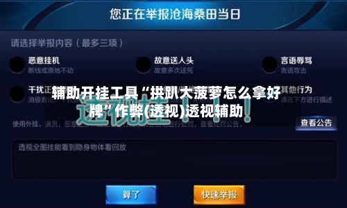 辅助开挂工具“拱趴大菠萝怎么拿好牌	”作弊(透视)透视辅助-第2张图片