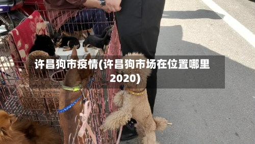 许昌狗市疫情(许昌狗市场在位置哪里2020)-第3张图片