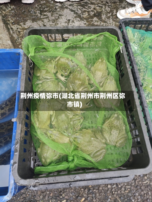 荆州疫情弥市(湖北省荆州市荆州区弥市镇)-第1张图片