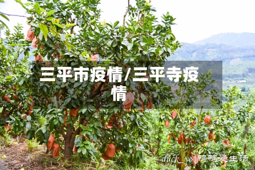 三平市疫情/三平寺疫情-第2张图片