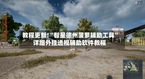 教程更新!“智星德州菠萝辅助工具”详细外挂透视辅助软件教程-第2张图片