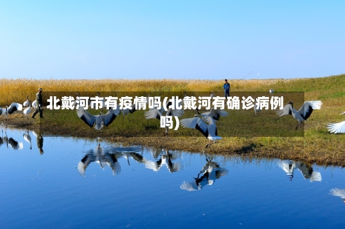 北戴河市有疫情吗(北戴河有确诊病例吗)-第2张图片