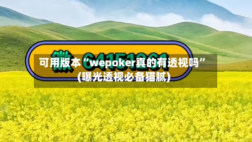 可用版本“wepoker真的有透视吗	”(曝光透视必备猫腻)-第1张图片
