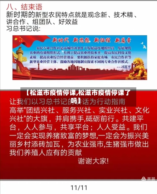 【松滋市疫情停课,松滋市疫情停课了吗】-第2张图片