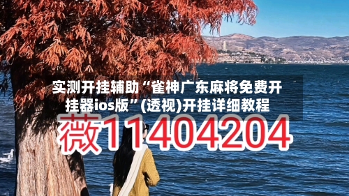 实测开挂辅助“雀神广东麻将免费开挂器ios版”(透视)开挂详细教程-第3张图片