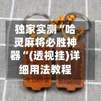 独家实测“哈灵麻将必胜神器“(透视挂)详细用法教程-第1张图片