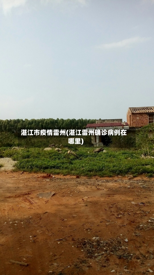 湛江市疫情雷州(湛江雷州确诊病例在哪里)-第3张图片