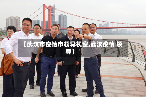 【武汉市疫情市领导视察,武汉疫情 领导】-第1张图片
