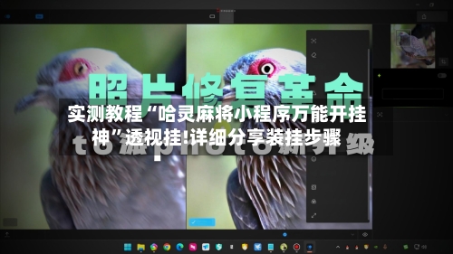 实测教程“哈灵麻将小程序万能开挂神”透视挂!详细分享装挂步骤-第2张图片