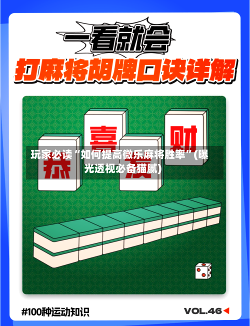 玩家必读“如何提高微乐麻将胜率”(曝光透视必备猫腻)-第1张图片